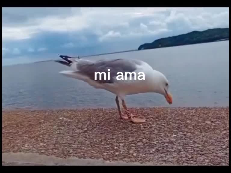 @un poco de todo