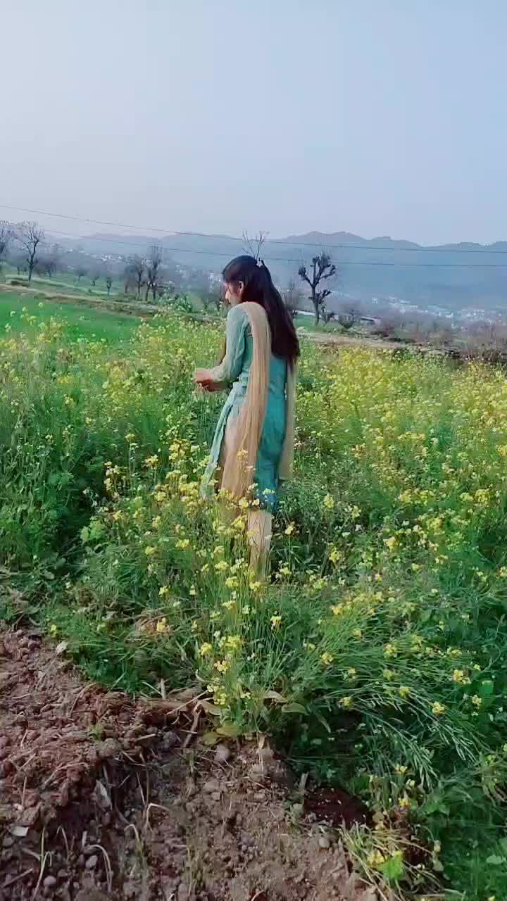 @vidhanshutanyaspotra
