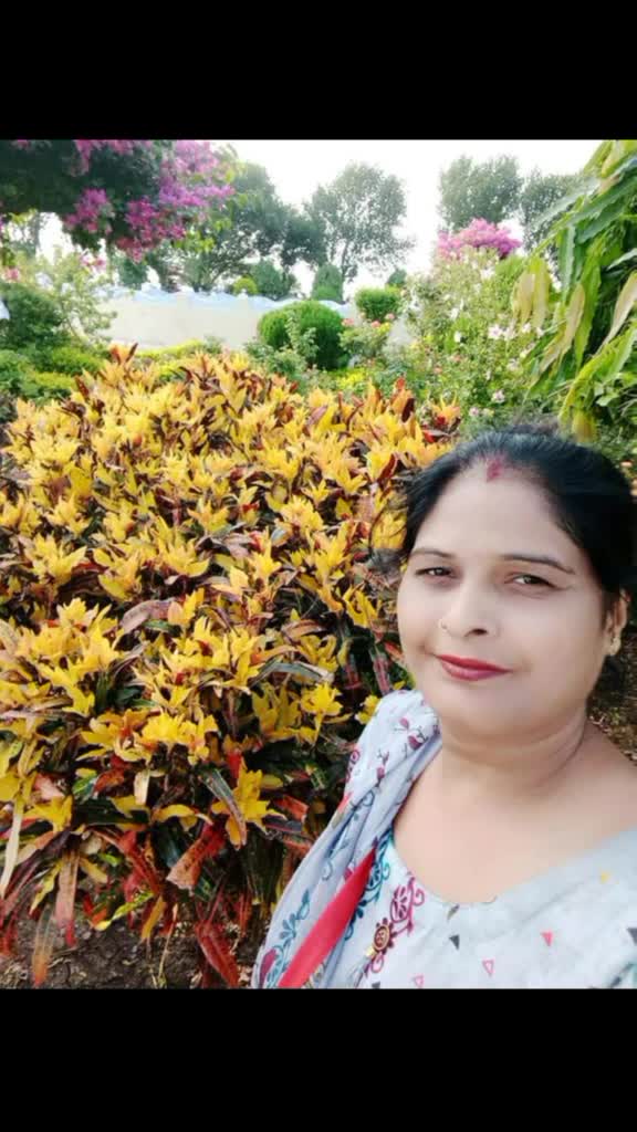 @Rupali Mittal