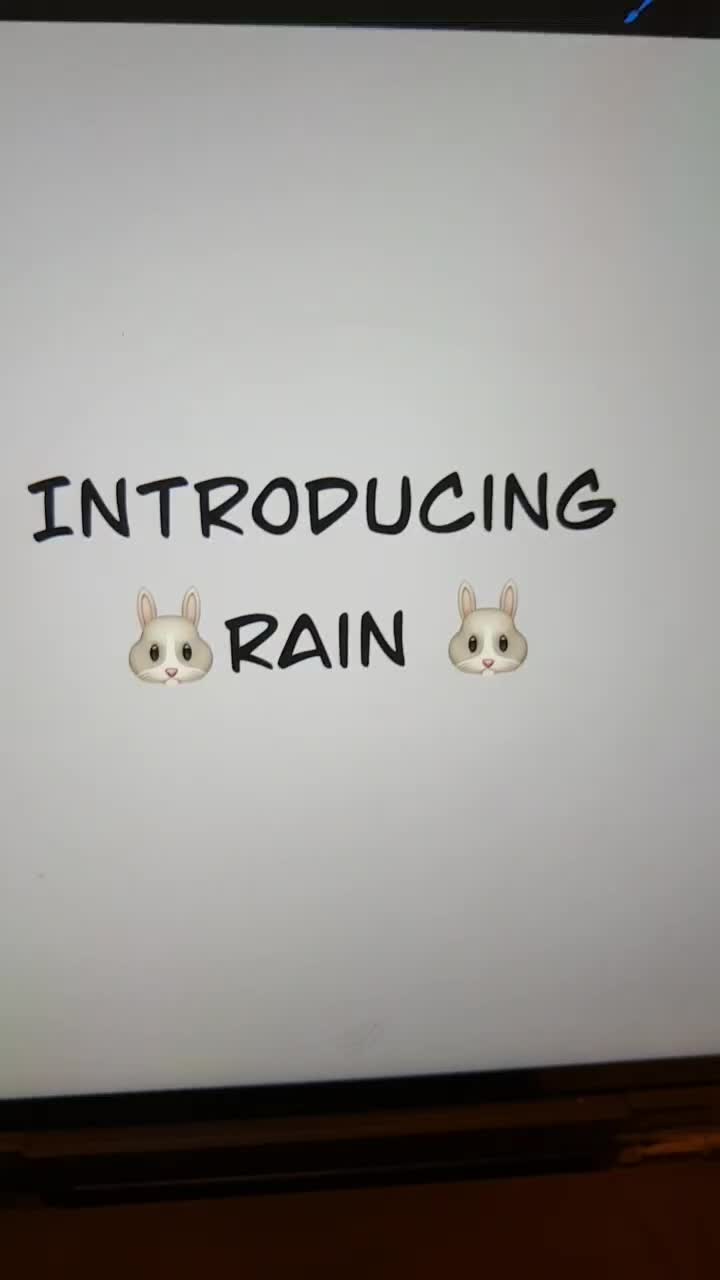 @🐰Rain🐰