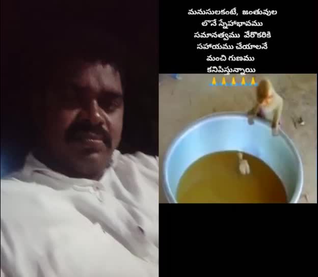@use r5948968176925