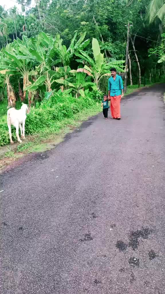 @Kutanrajeesh