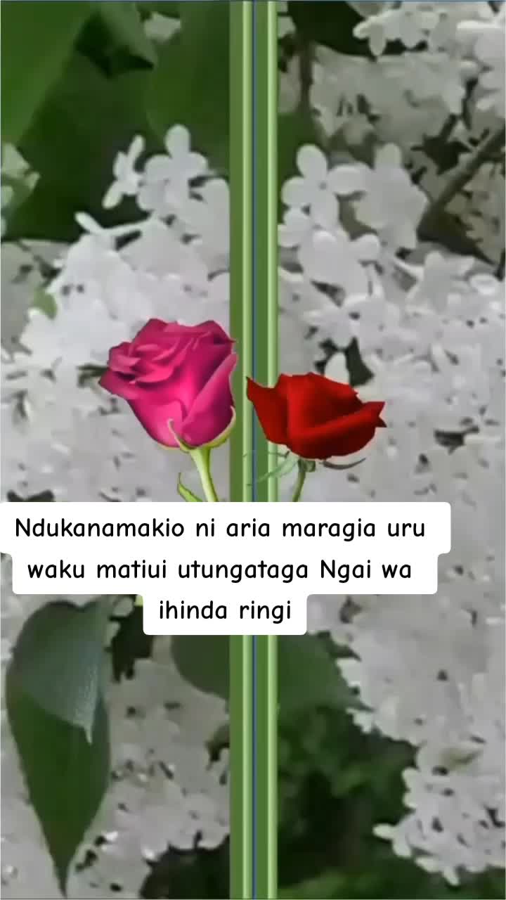 @Winny M Winnie