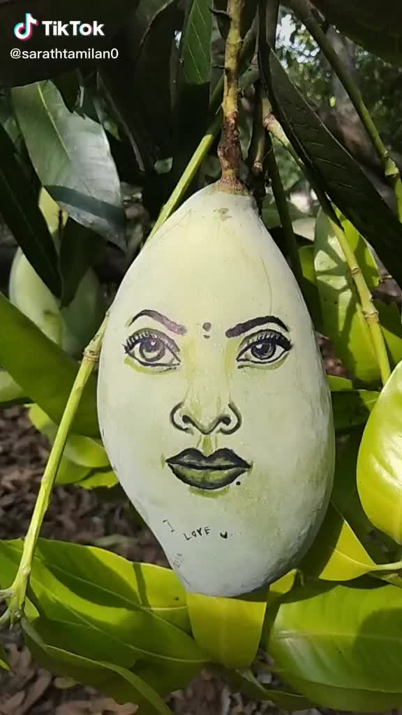 @priyapraneshuser8313