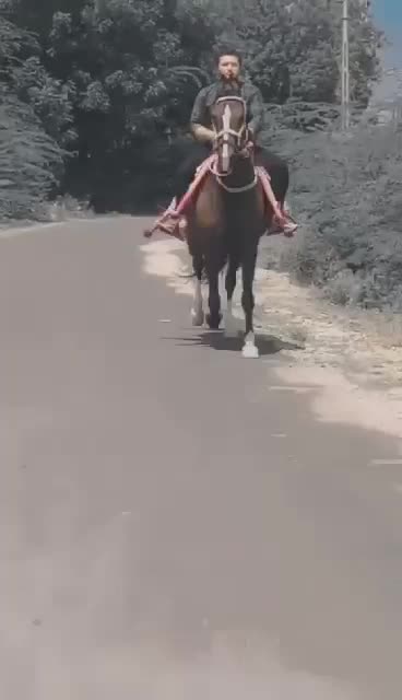 @Hardevsinh Rathod