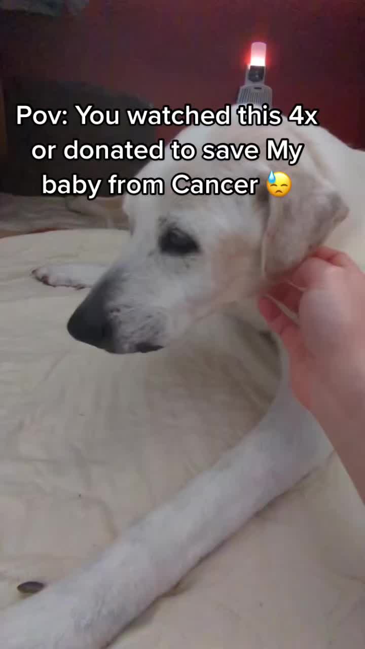 @PrayForCooper