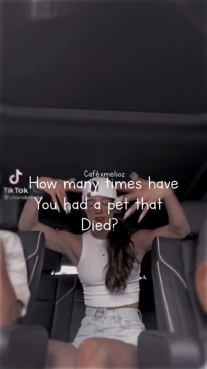 @Charli fanpage💗