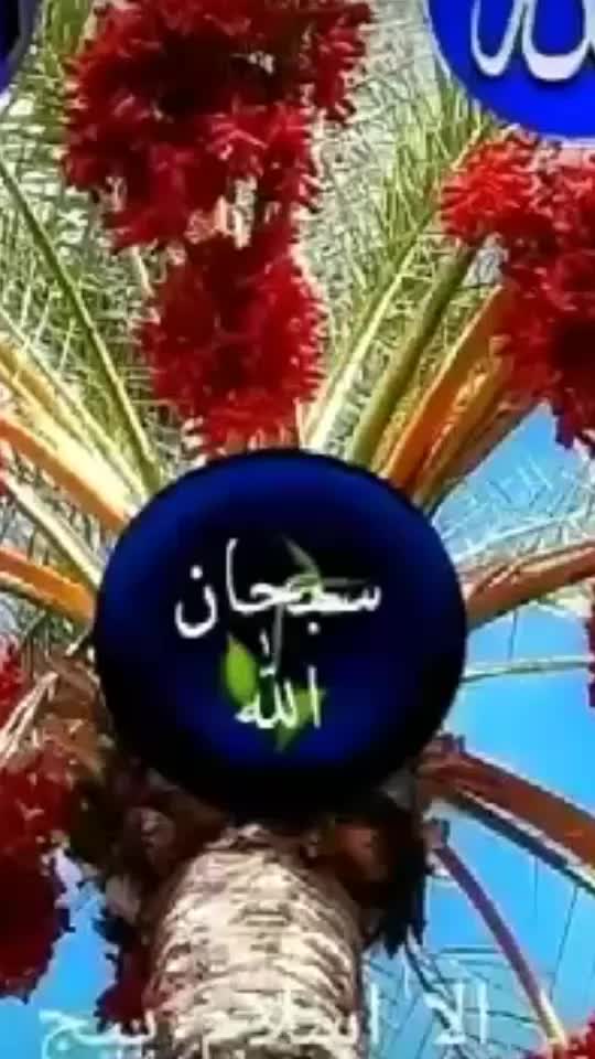 @Firoj Pathan