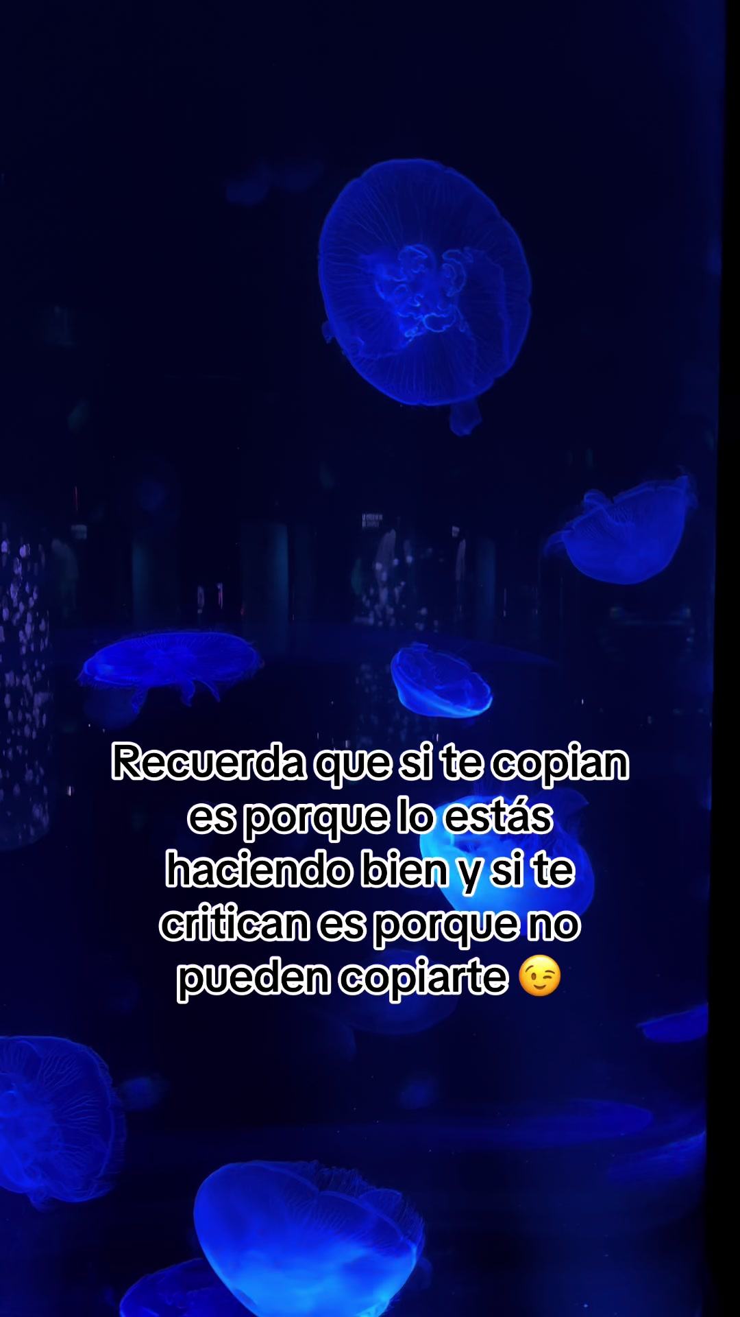 @usuarionomeconoces