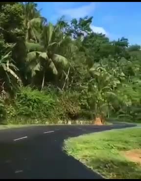 @Suraj Das