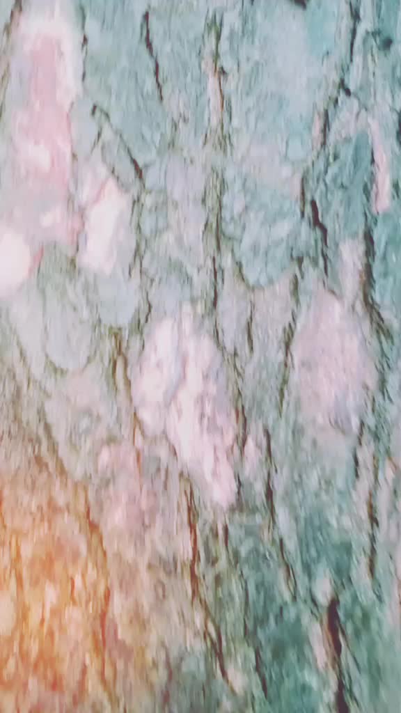 @Sanjeev kumar
