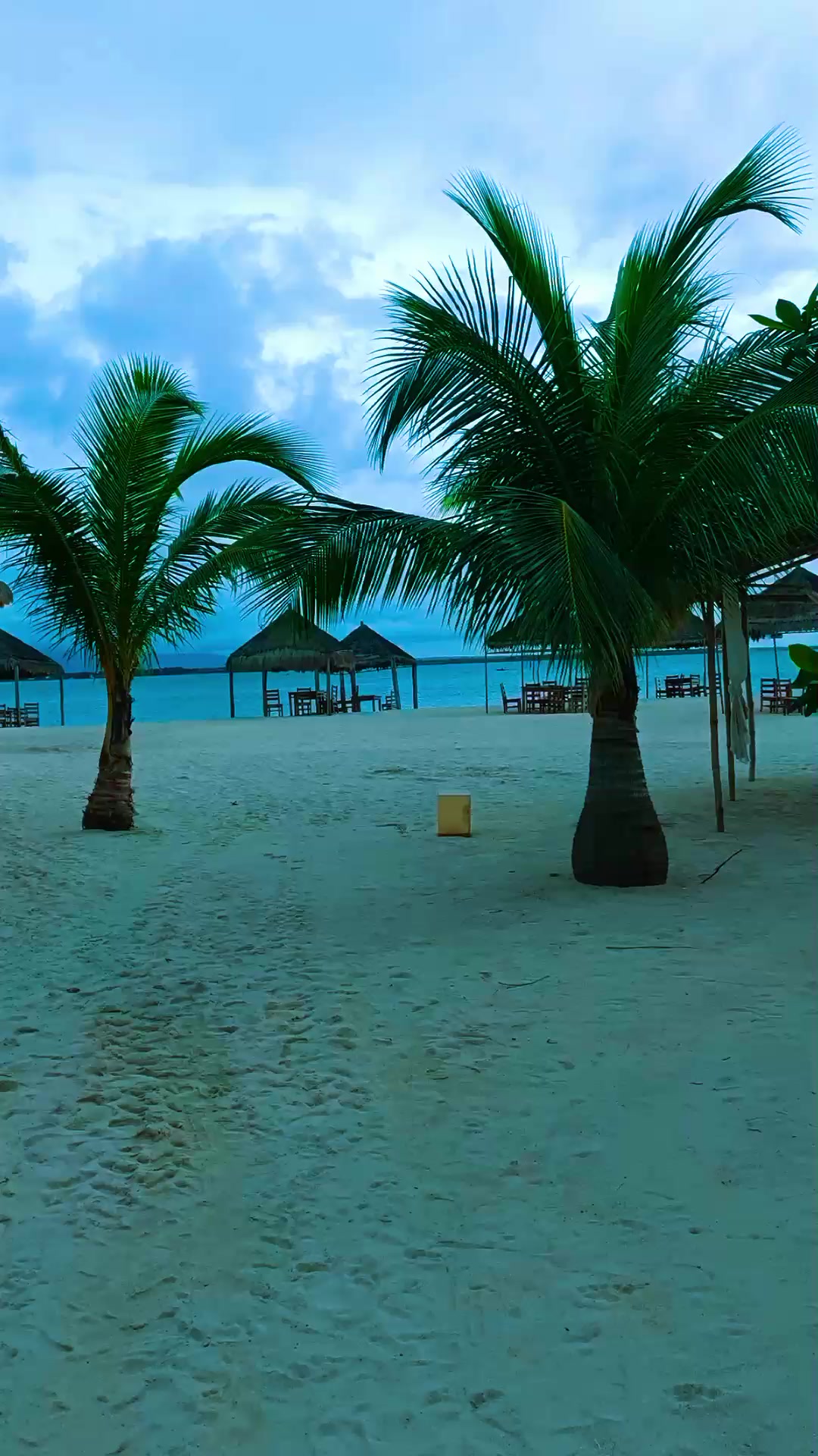 @Zenfitravelntours
