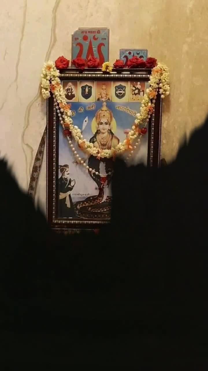 @TEAM🔥 Rajputana ⚔️