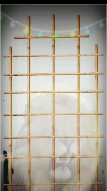 @G.GURU NAYAK