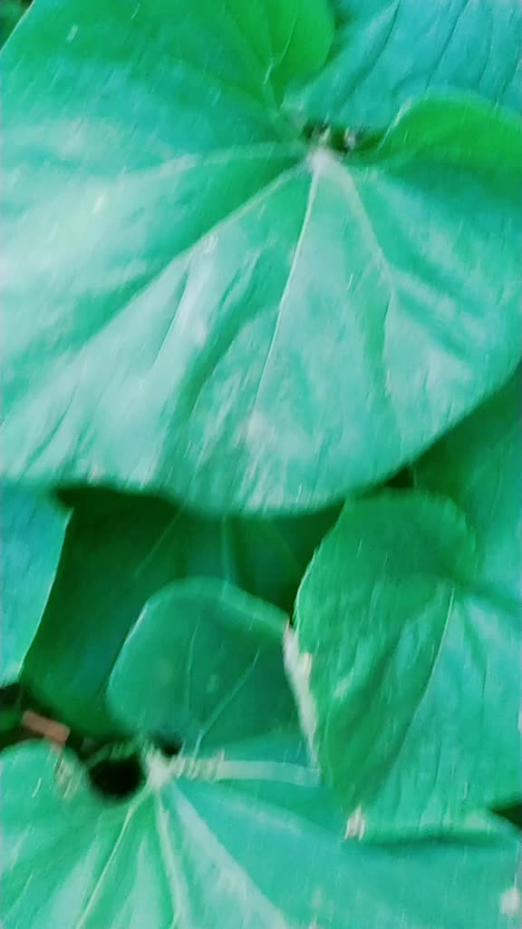 @Didi__ka__jaan_