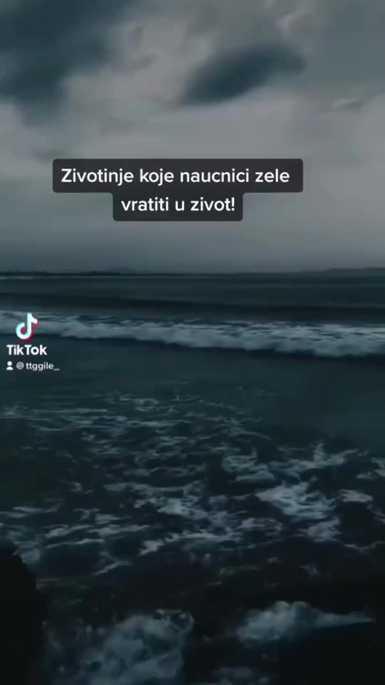 @💙