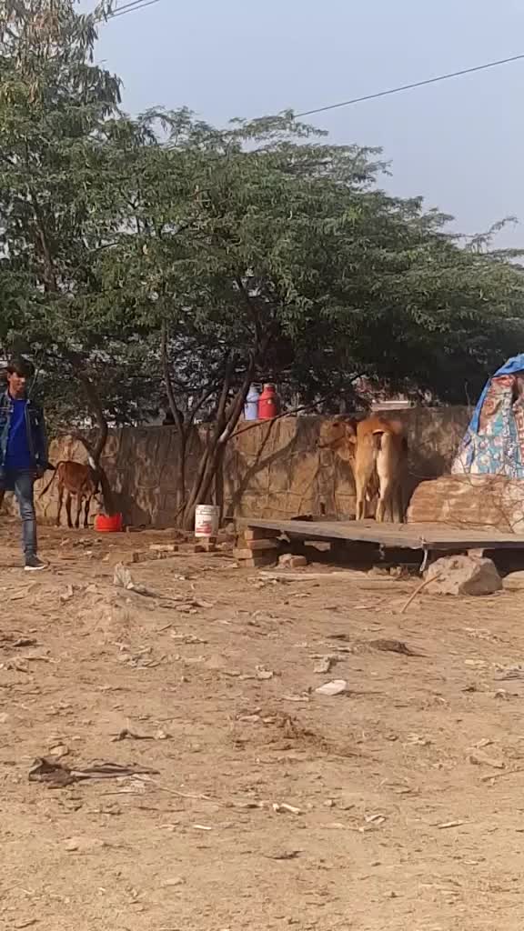 @MukeshSharma
