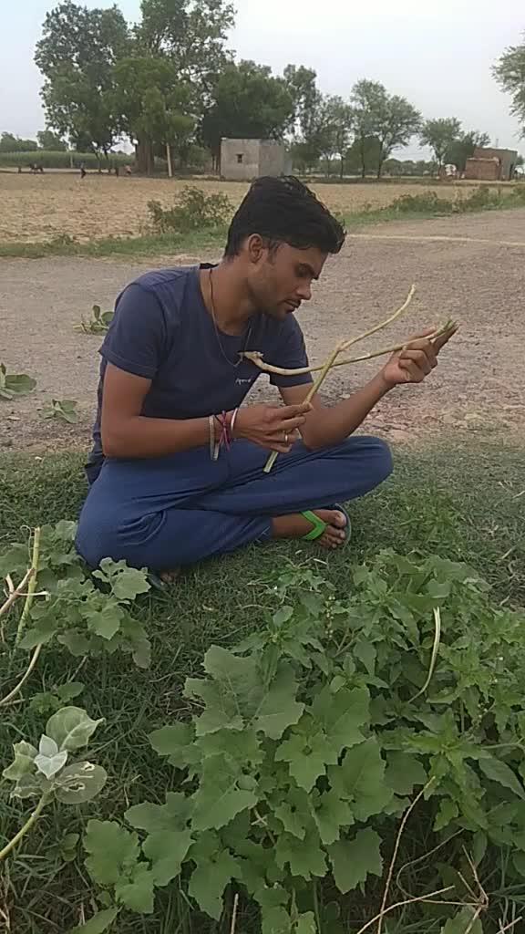 @SARVESHSARVESH603