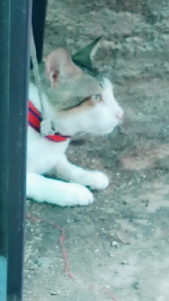 @👑आई_चा_लाडका_ कृष्णा👑