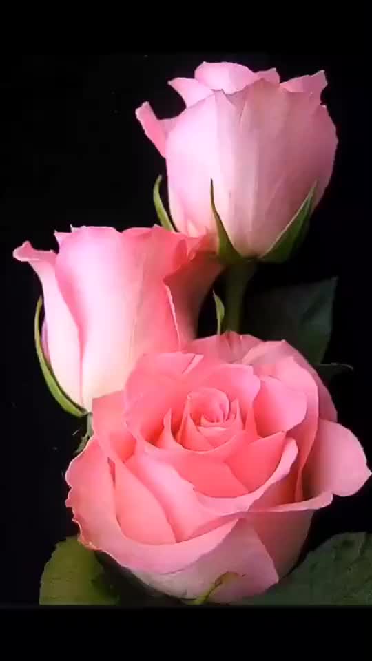 @sravanthi sravs