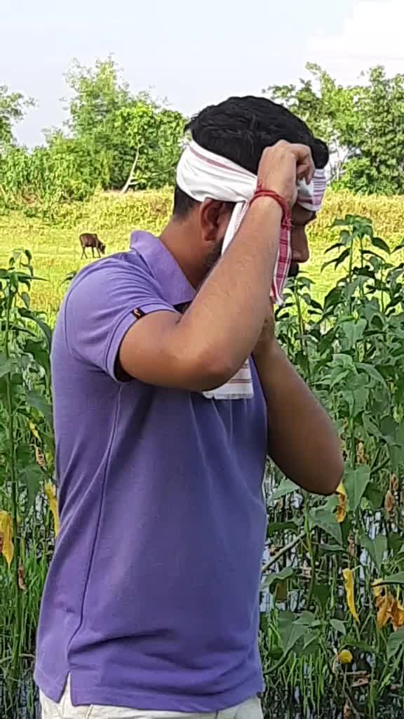 @Arup Kashyap