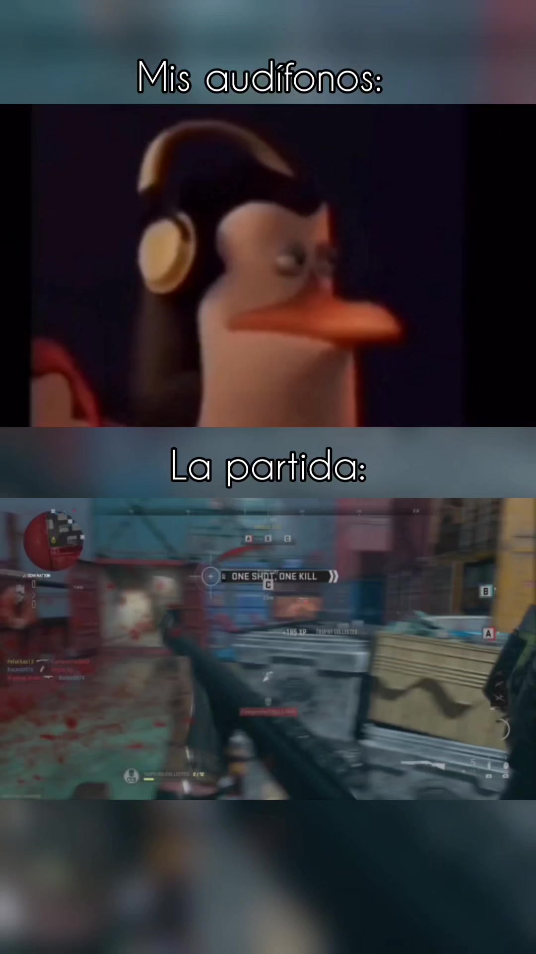 @Peluckas13