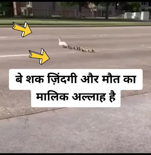 @user2247713593927