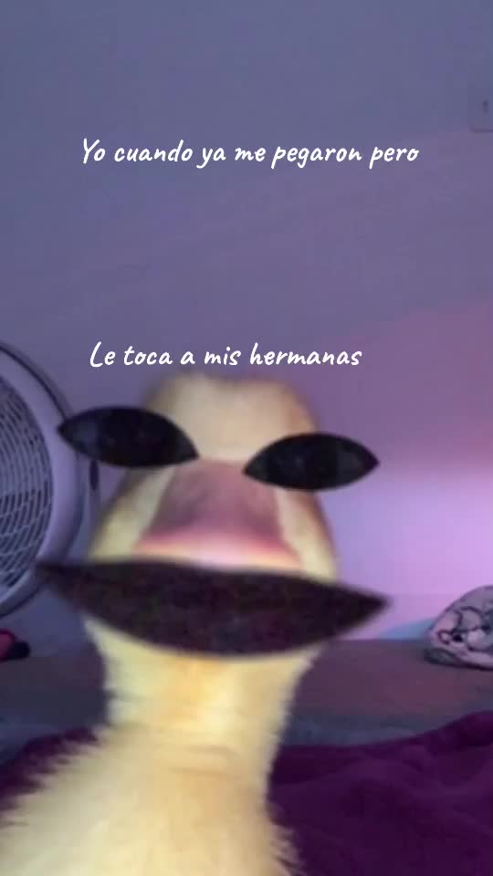 @oded
