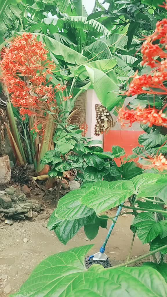 @๐๐manviunni๐๐