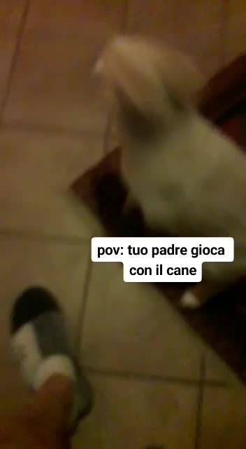@camilla🧚🏻♀️