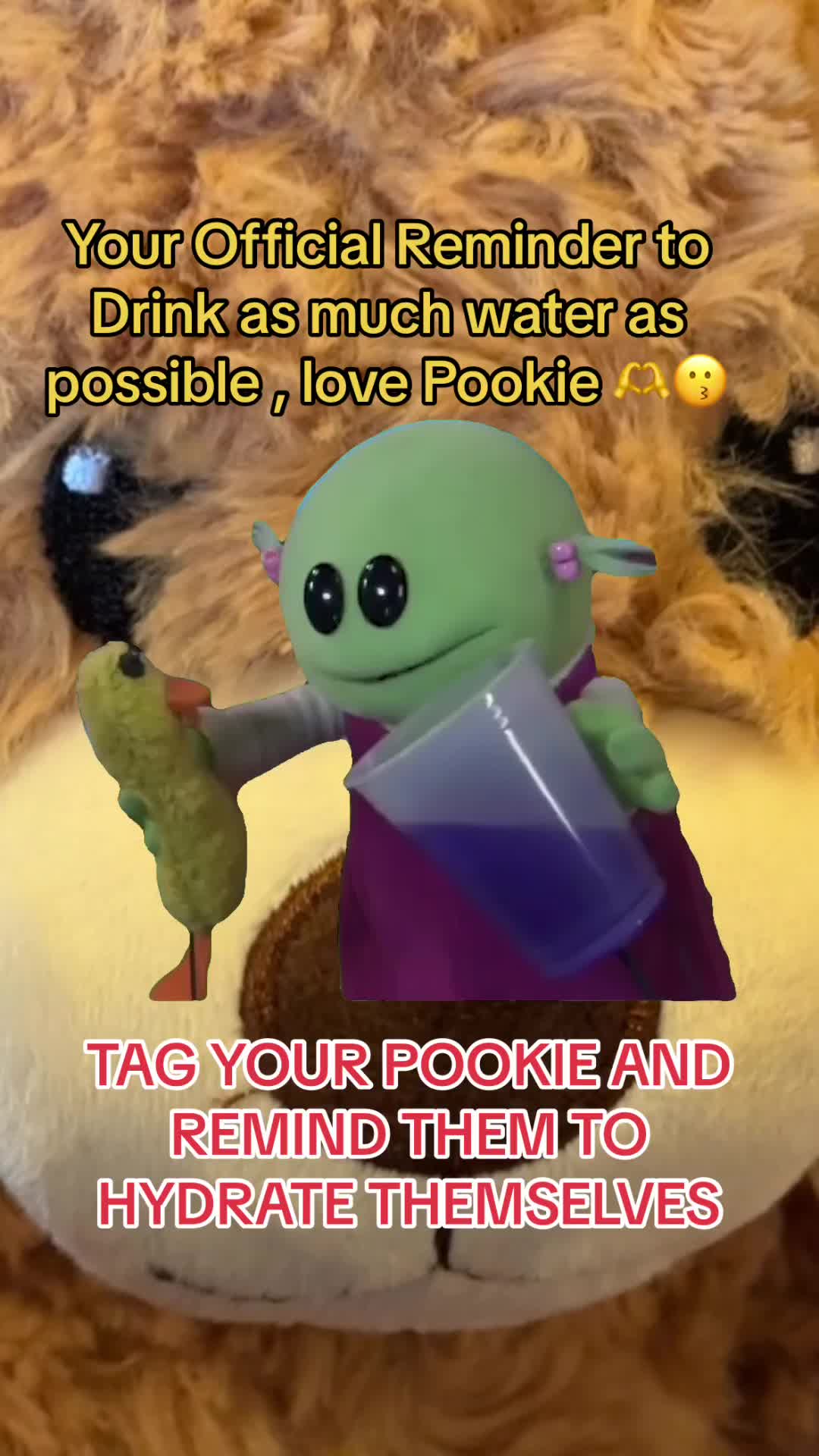 @🧸 Pookie Wookie Woo Bear 🧸