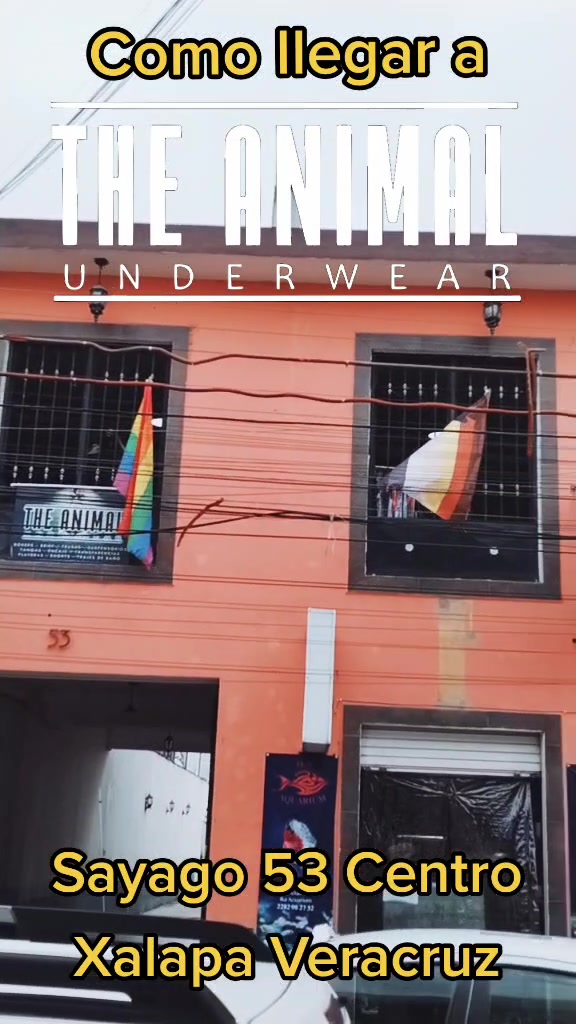 @The Animal Underwear Oficial