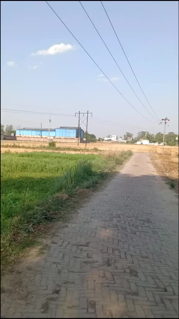 @Sukhdeep Singh Kular