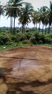 @Guru Raju
