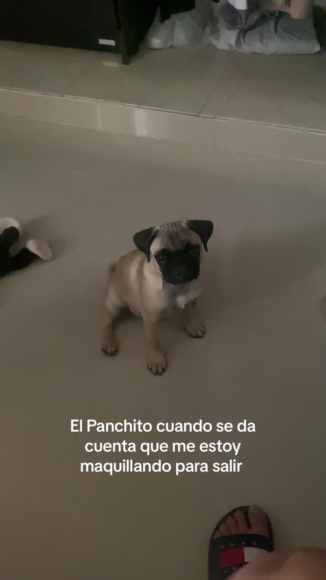@Mayra🤍