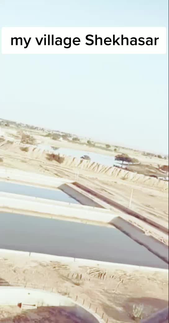 @Megh Banna 009
