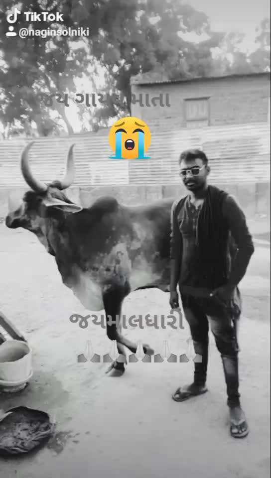 @🙏🙏કિંગમાંનાથુવારા?