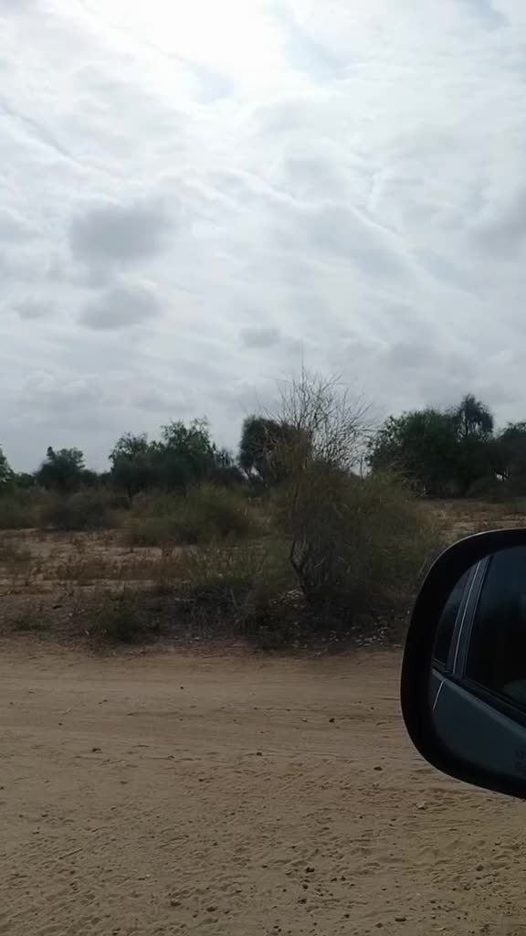 @Soni___Pooja