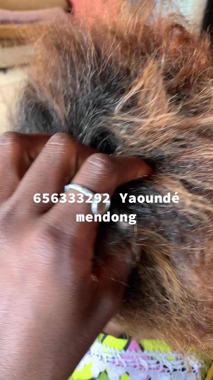 @Laetyrelooking