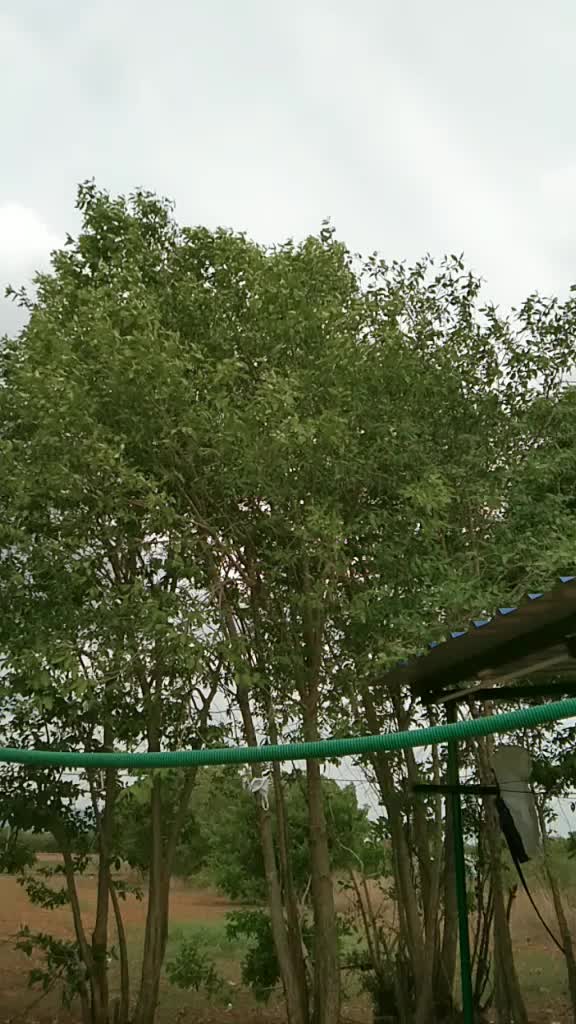 @pravi $namakkal ponu