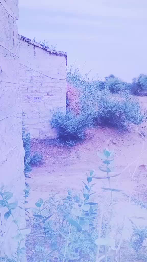 @Muki Gitala