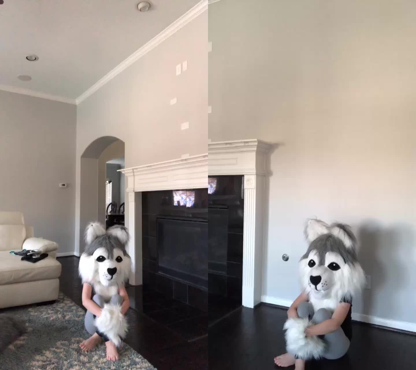 @fursuitwolf111