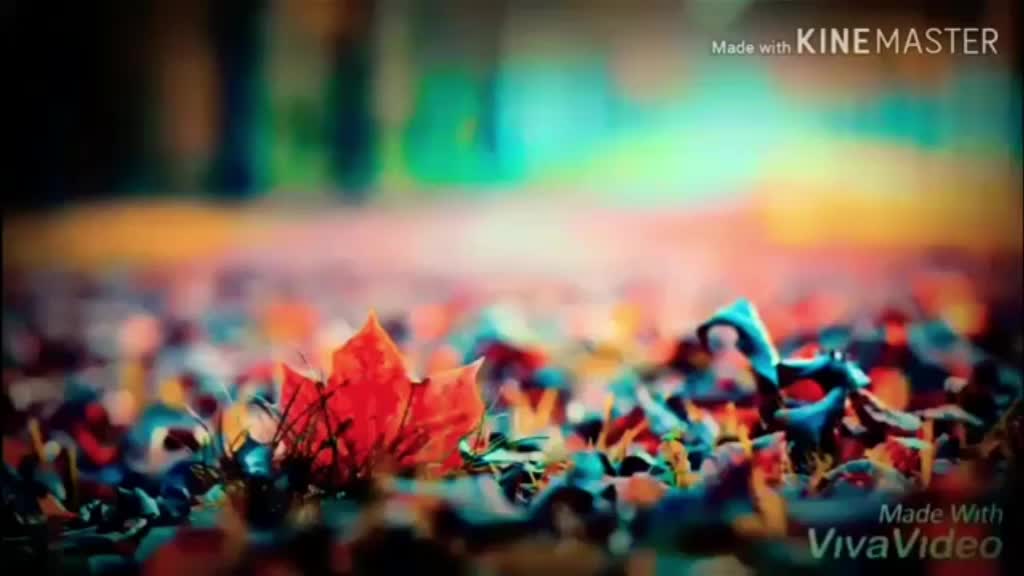 @kanha 786