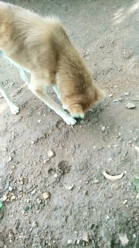 @MS govindaraj