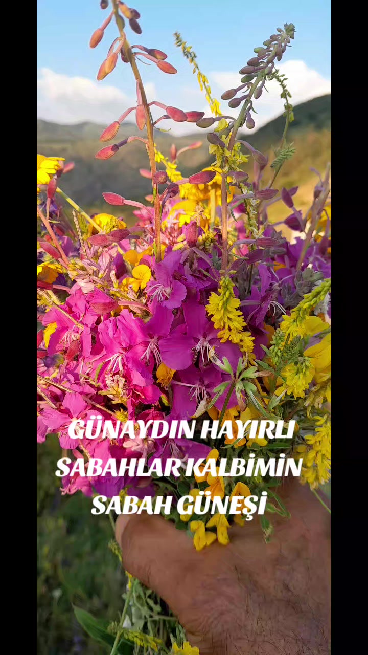 @Hasan Yılmaz