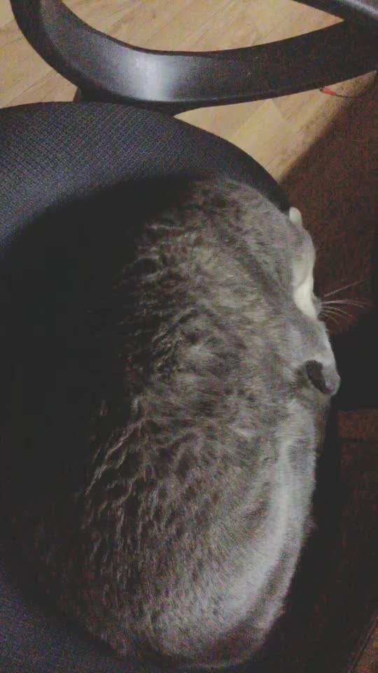 @_ᕼI_ᕼI_