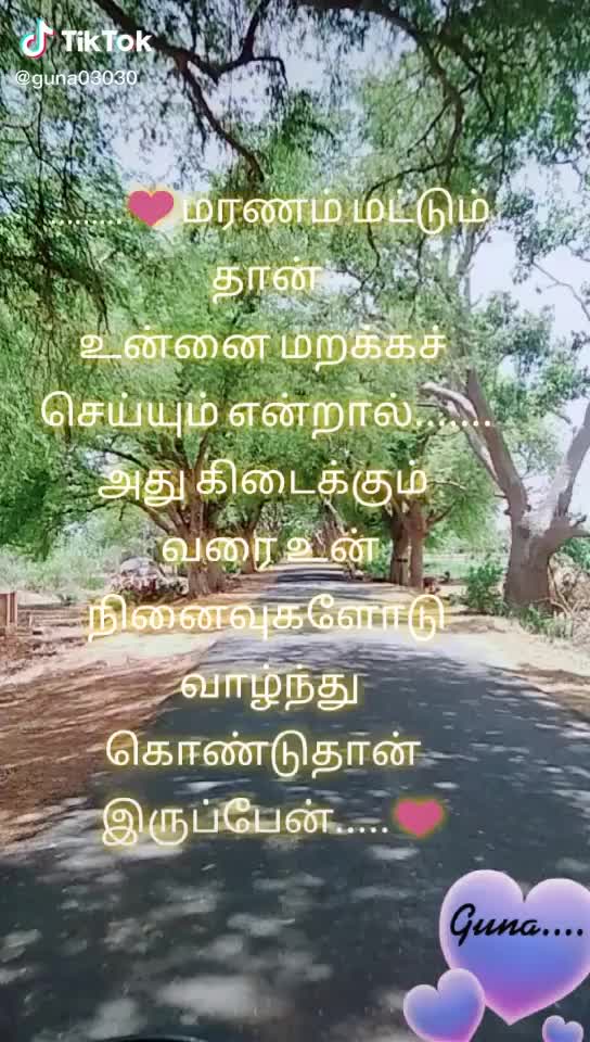 @lvlyguna