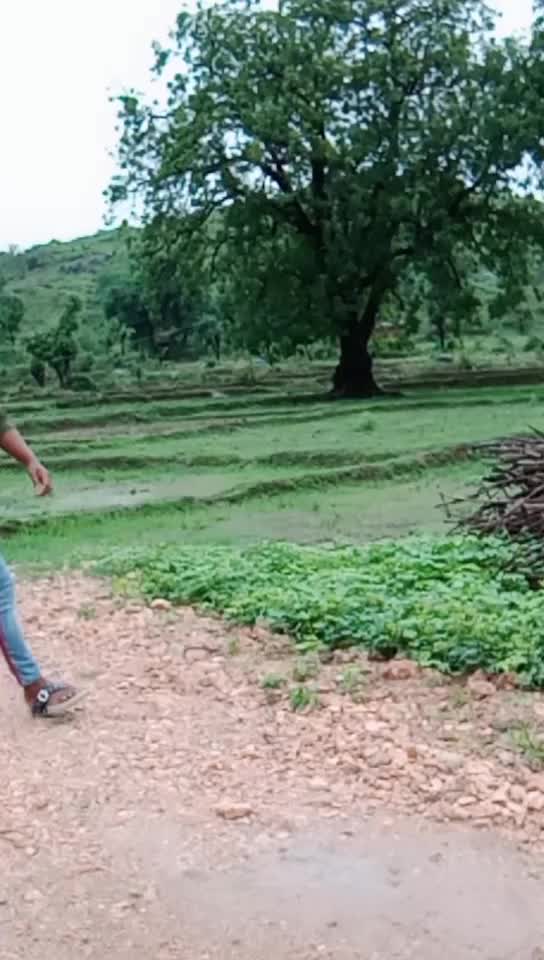 @Nîshá_pankaj_1177