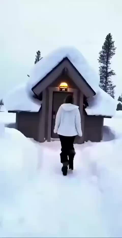 @user7855005126714