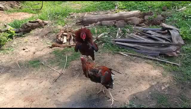 @Satish gundavarapu